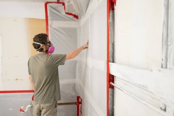 Forensic Mold Investigation in Wasilla, AK