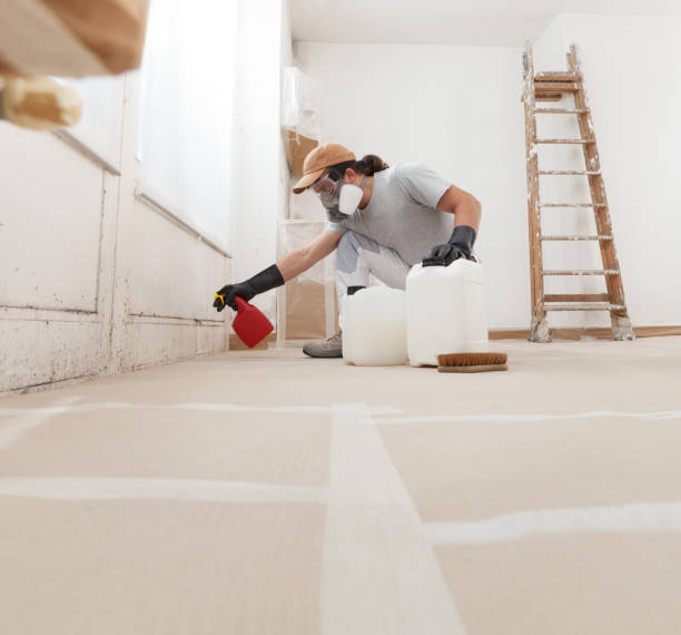 Best Air Quality Testing for Mold Spores  in Wasilla, AK